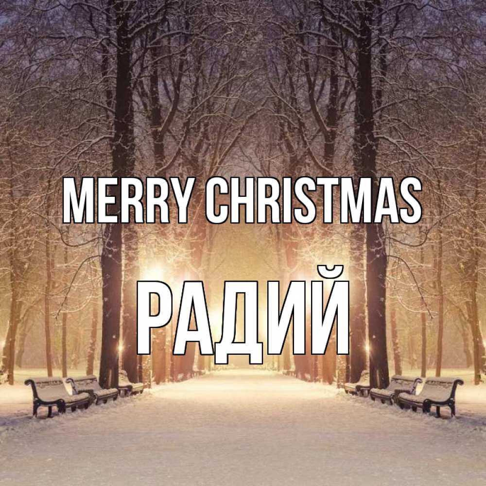Greetings card с именем, Радий Merry Christmas зима, парк, фонарь, лес Greetings with text for free download 