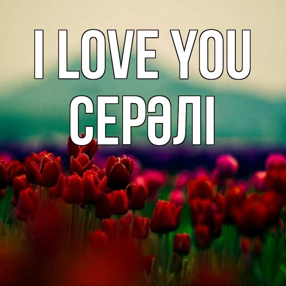 Greetings card с именем, СЕРӘЛІ I love you тюльпаны 4 Greetings with text for free download 