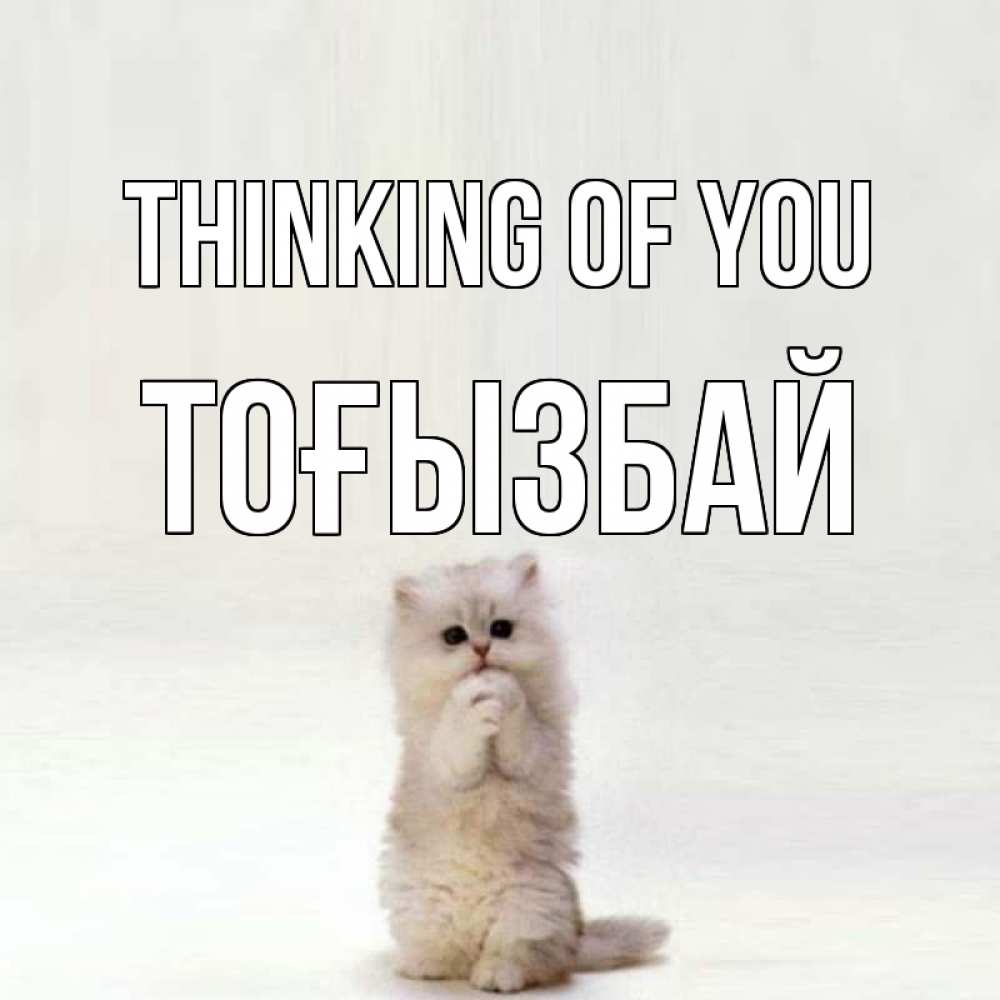 Greetings card с именем, ТОҒЫЗБАЙ Thinking of you кот стоит на задних лапах Greetings with text for free download 