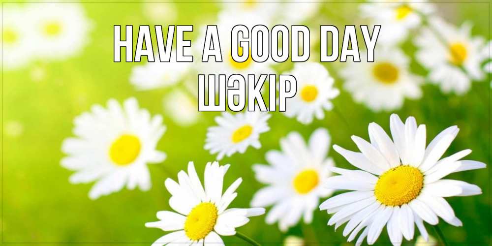 Greetings card с именем, ШӘКІР Have a good day открытка с ромашками на зеленом фоне Greetings with text for free download 