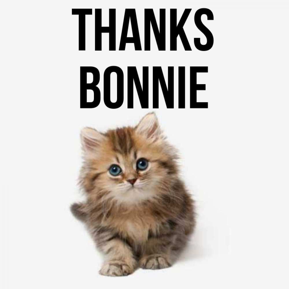 Greetings card с именем, Bonnie Thanks пушистый котик Greetings with text for free download 