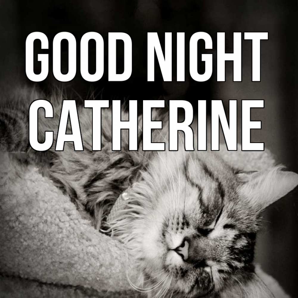 Greetings card с именем, Catherine Good night котярик пушистый Greetings with text for free download 