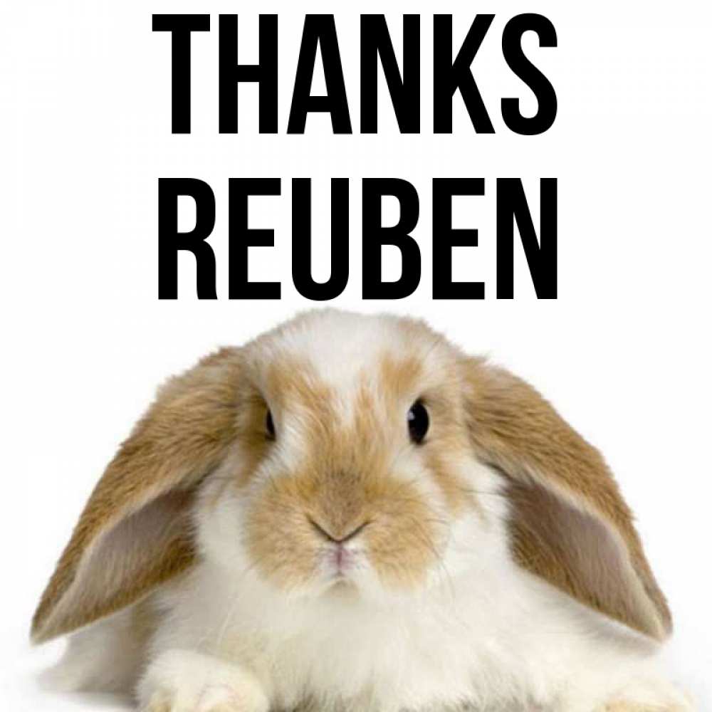 Greetings card с именем, Reuben Thanks коричнево белый заяц Greetings with text for free download 