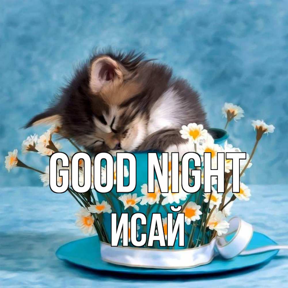 Greetings card с именем, Исай Good night котенок спит в кружке с блюдцем Greetings with text for free download 