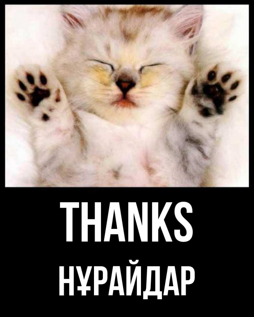Greetings card с именем, НҰРАЙДАР Thanks маленький котенок Greetings with text for free download 