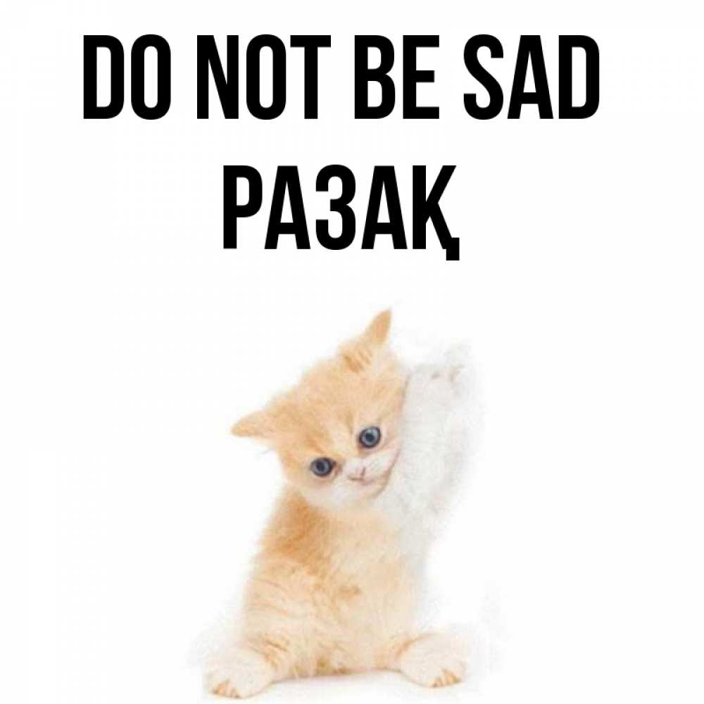 Greetings card с именем, РАЗАҚ Do not be sad просящий кот Greetings with text for free download 