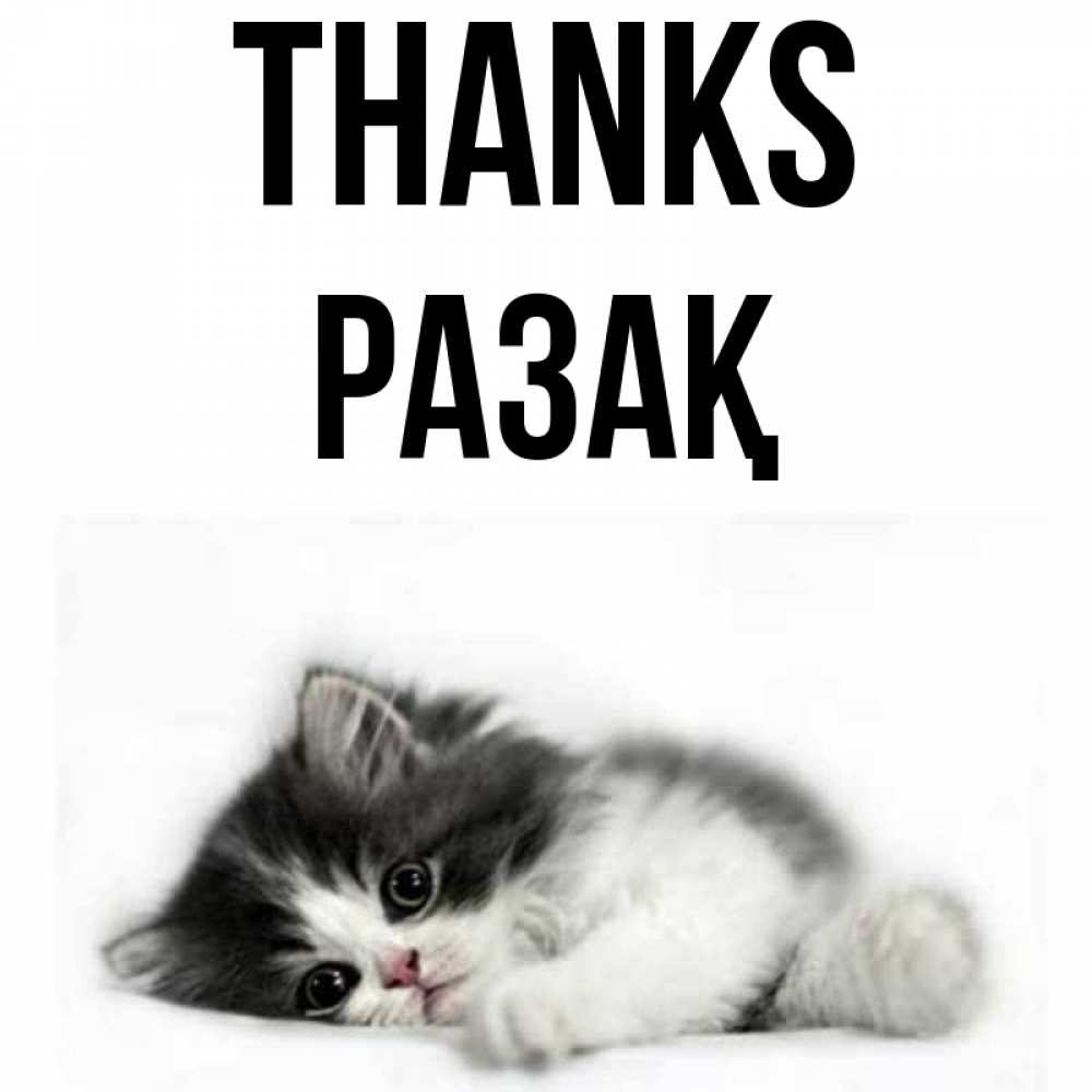 Greetings card с именем, РАЗАҚ Thanks черный и белый кот Greetings with text for free download 