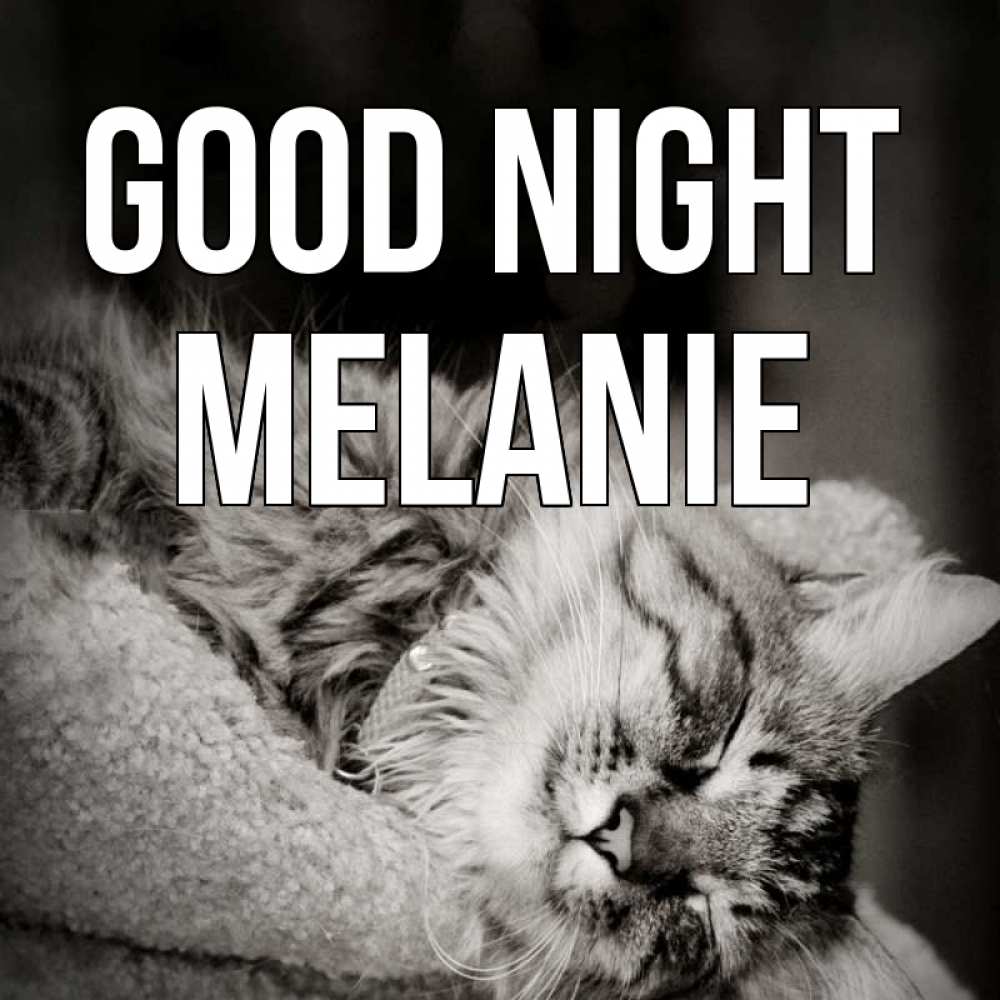 Greetings card с именем, Melanie Good night котярик пушистый Greetings with text for free download 
