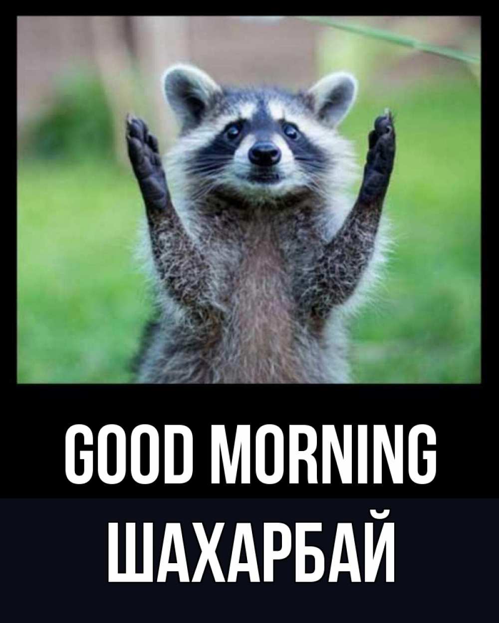 Greetings card с именем, ШАХАРБАЙ Good morning хорошее настроение утречком Greetings with text for free download 
