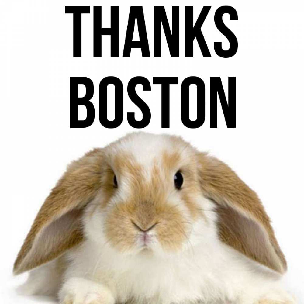 Greetings card с именем, Boston Thanks коричнево белый заяц Greetings with text for free download 