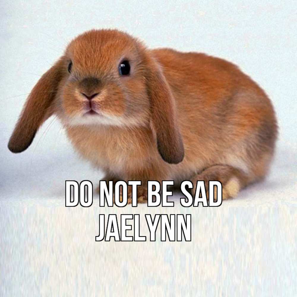 Greetings card с именем, Jaelynn Do not be sad вислоухий рыжий кролик Greetings with text for free download 