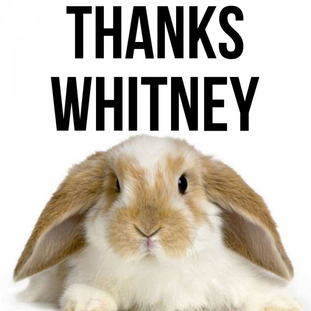 Greetings card с именем, Whitney Thanks коричнево белый заяц Greetings with text for free download 