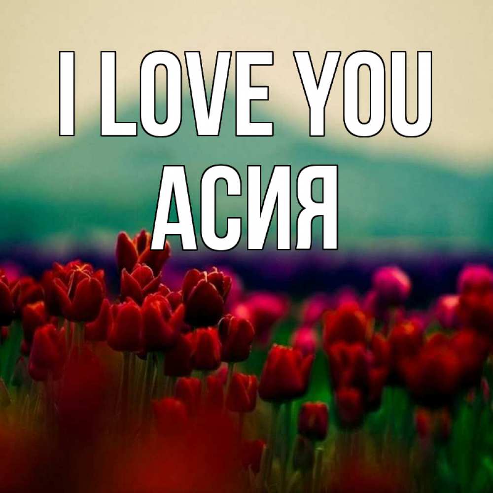 Greetings card с именем, АСИЯ I love you тюльпаны 4 Greetings with text for free download 
