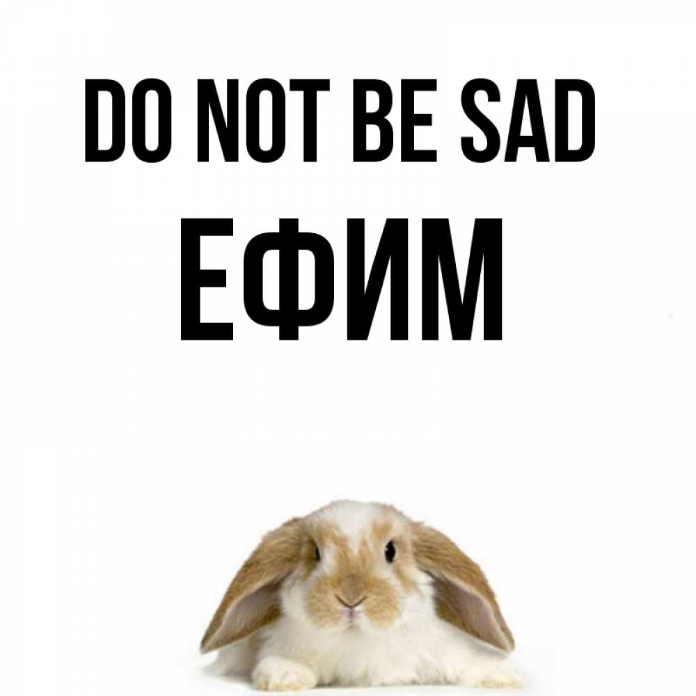 Greetings card с именем, Ефим Do not be sad коричнево белый заяц с большими ушками Greetings with text for free download 