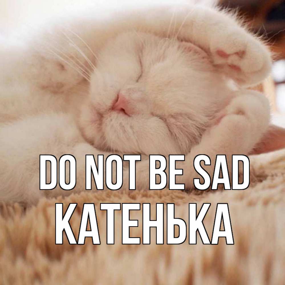 Greetings card с именем, Катенька Do not be sad белый кот Greetings with text for free download 