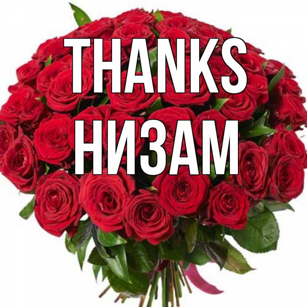 Greetings card с именем, НИЗАМ Thanks букет красных роз Greetings with text for free download 