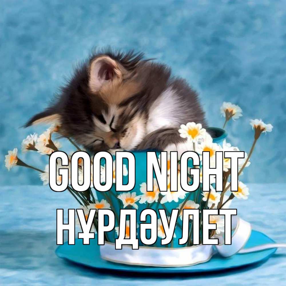 Greetings card с именем, НҰРДӘУЛЕТ Good night котенок спит в кружке с блюдцем Greetings with text for free download 