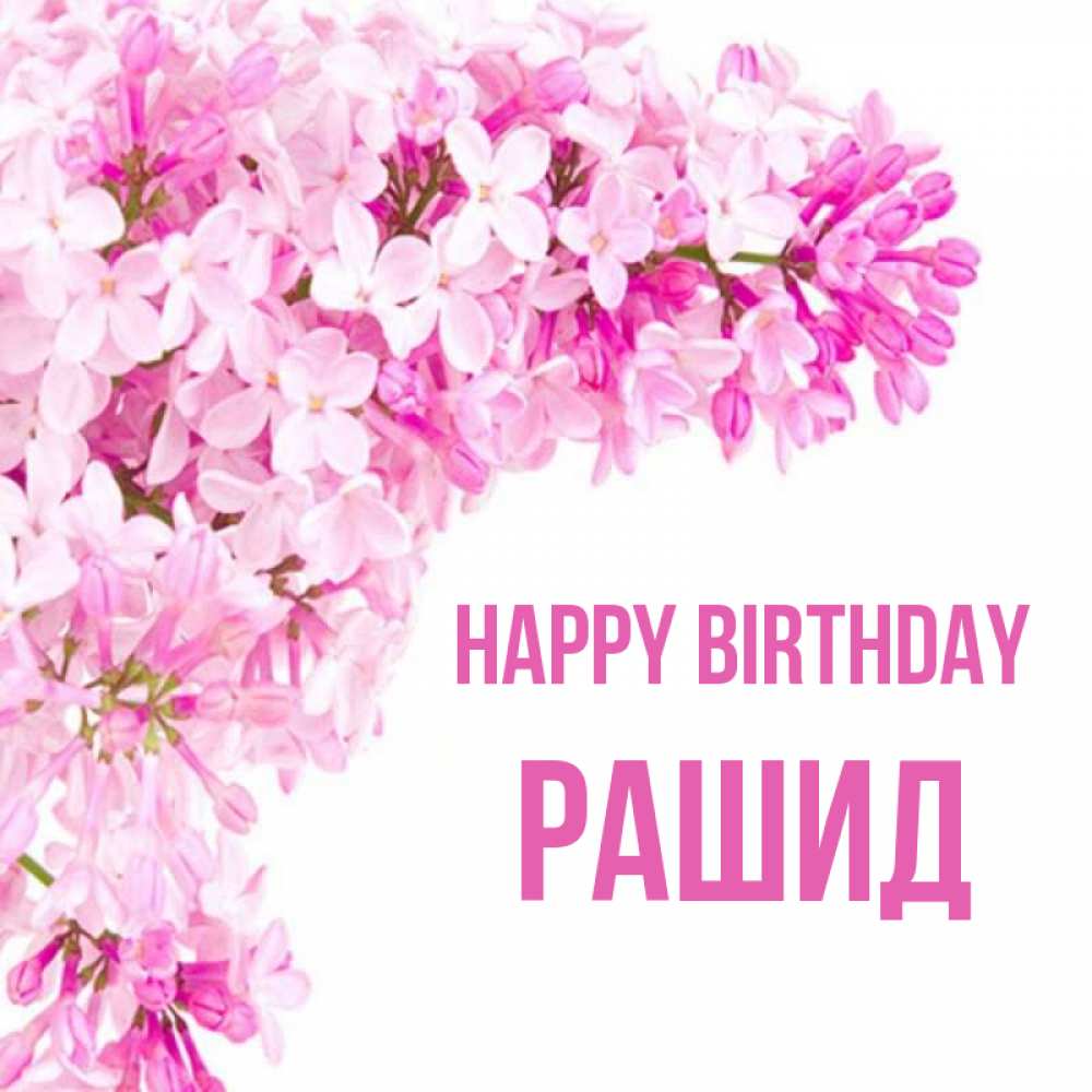 Greetings card с именем, Рашид Happy Birthday Сирень на белом фоне Greetings with text for free download 