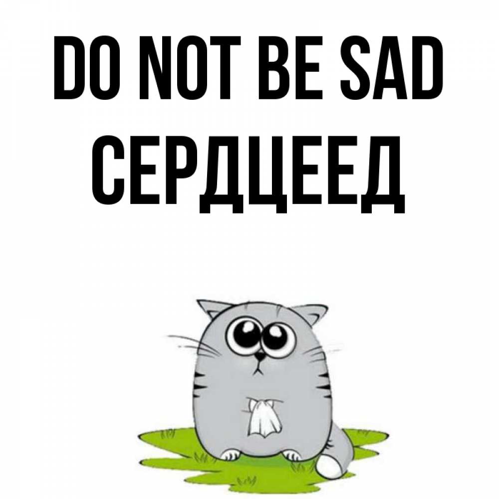 Greetings card с именем, Сердцеед Do not be sad грустный котяра Greetings with text for free download 