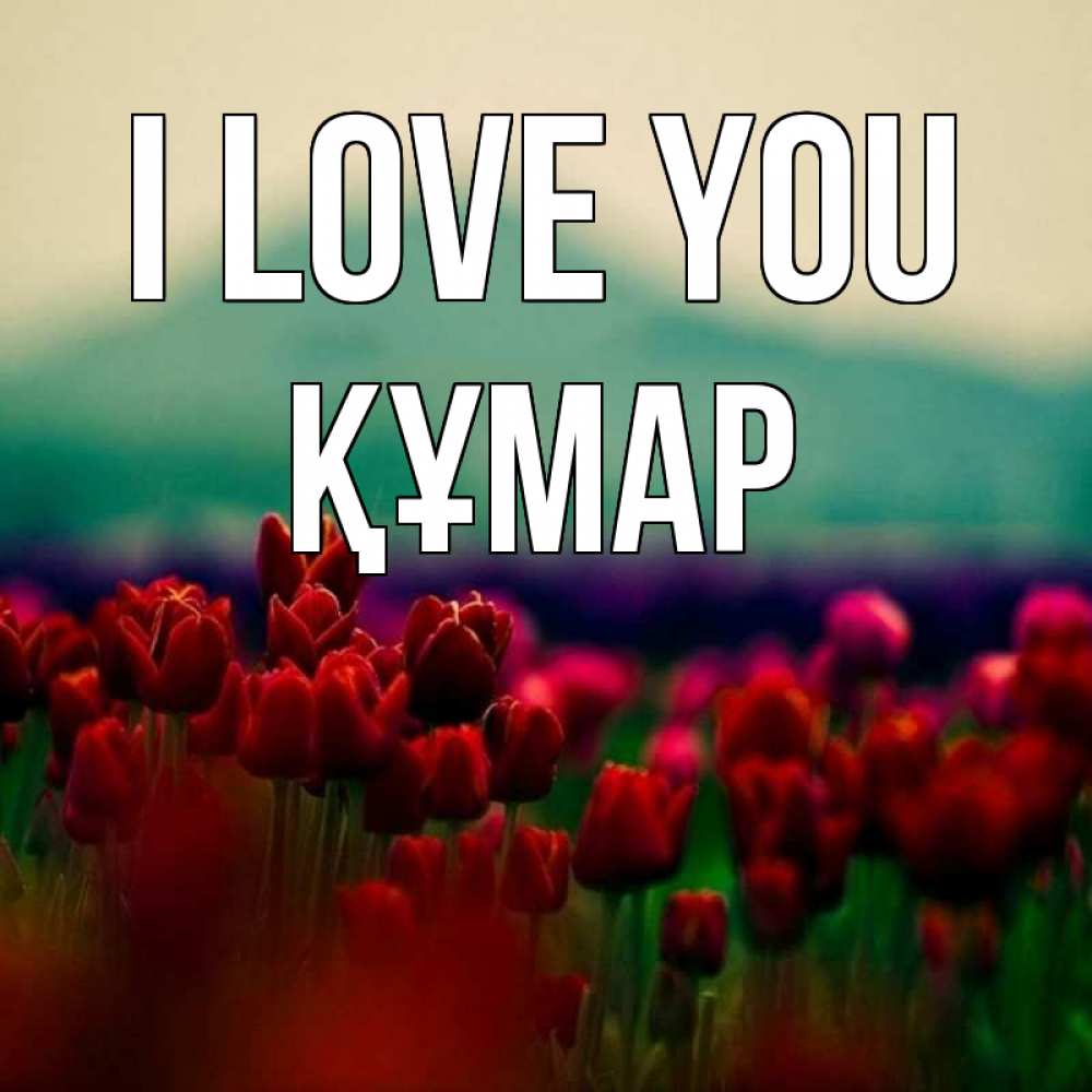 Greetings card с именем, ҚҰМАР I love you тюльпаны 4 Greetings with text for free download 