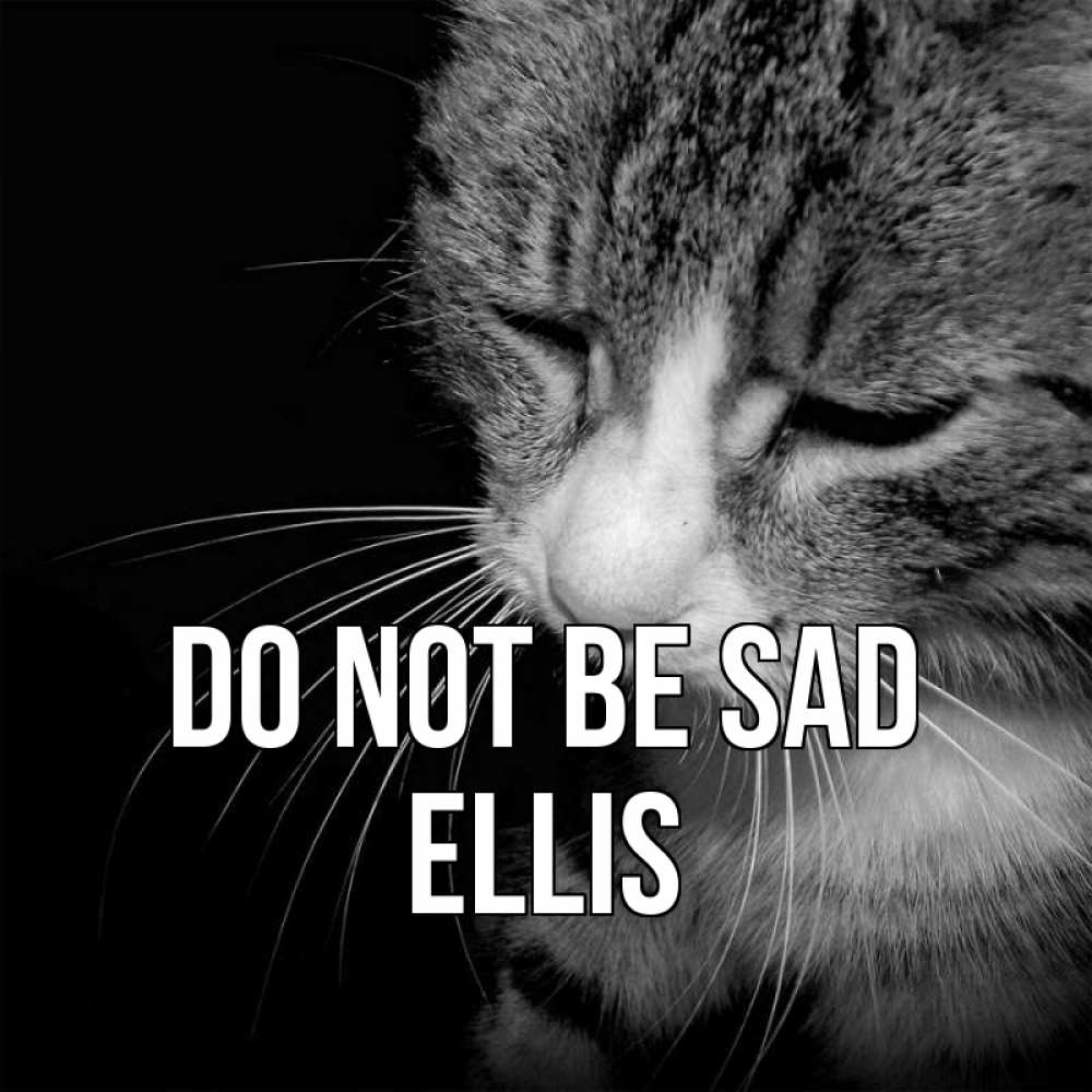 Greetings card с именем, Ellis Do not be sad грустный котик Greetings with text for free download 