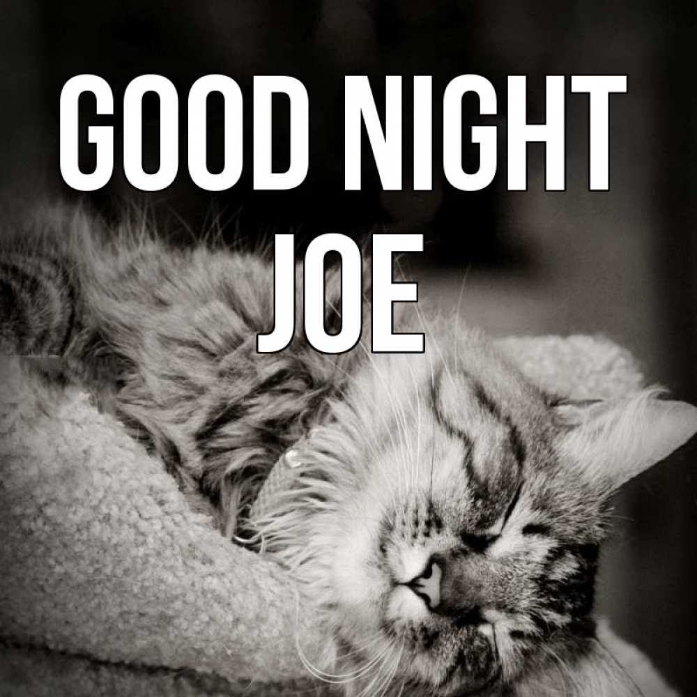 Greetings card с именем, Joe Good night котярик пушистый Greetings with text for free download 