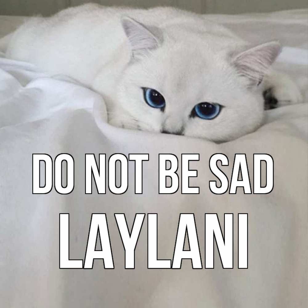 Greetings card с именем, Laylani Do not be sad белый кот с голубыми глазами на белоснежной кровати Greetings with text for free download 