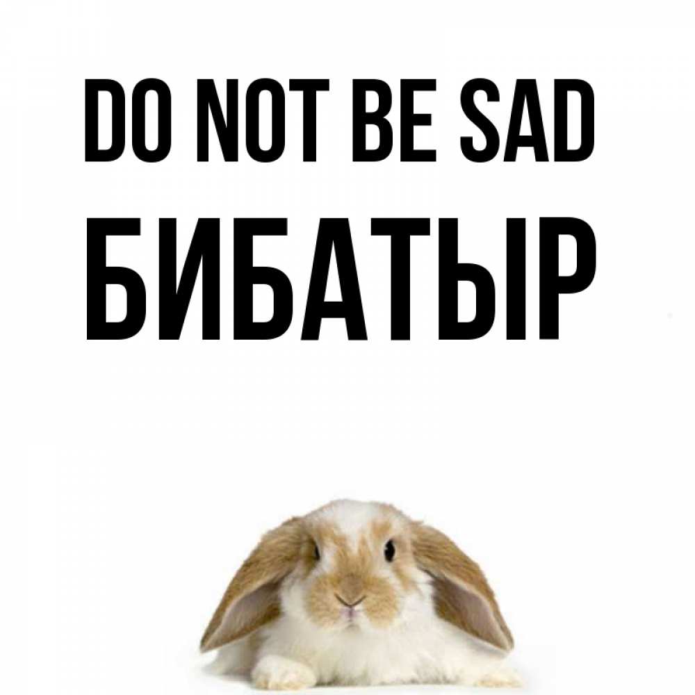 Greetings card с именем, Бибатыр Do not be sad коричнево белый заяц с большими ушками Greetings with text for free download 