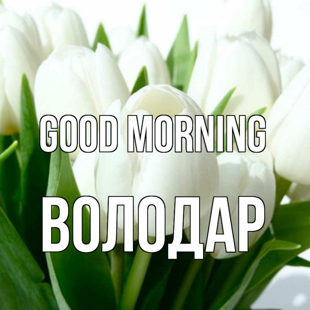 Greetings card с именем, Володар Good morning открытки на каждый день по именам Greetings with text for free download 