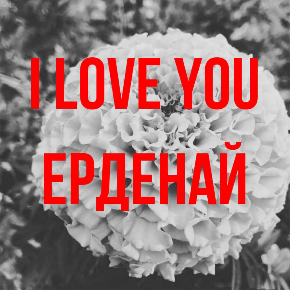 Greetings card с именем, Ерденай I love you подпись Greetings with text for free download 