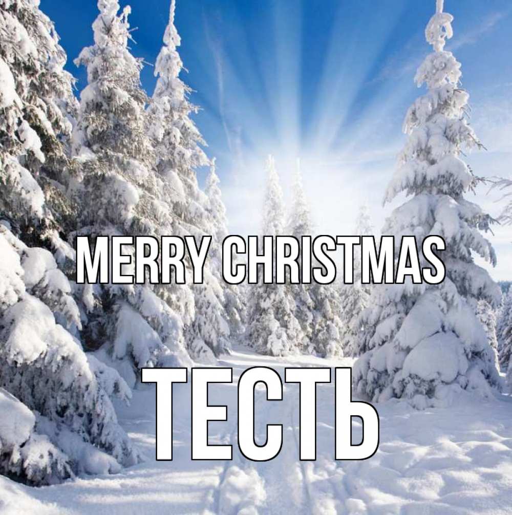 Greetings card с именем, Тесть Merry Christmas зима, лес Greetings with text for free download 