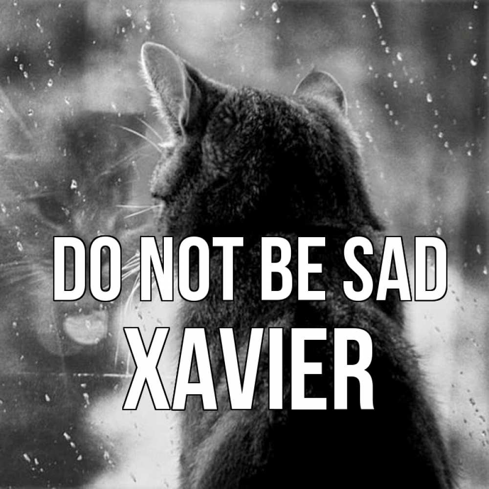 Greetings card с именем, Xavier Do not be sad отражение кота 1 Greetings with text for free download 