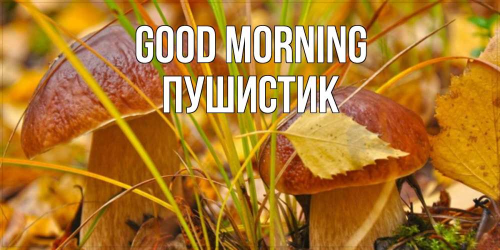 Greetings card с именем, Пушистик Good morning осенние грибы Greetings with text for free download 