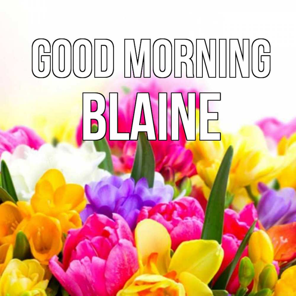 Greetings card с именем, Blaine Good morning создать открытку со свое подписью Greetings with text for free download 