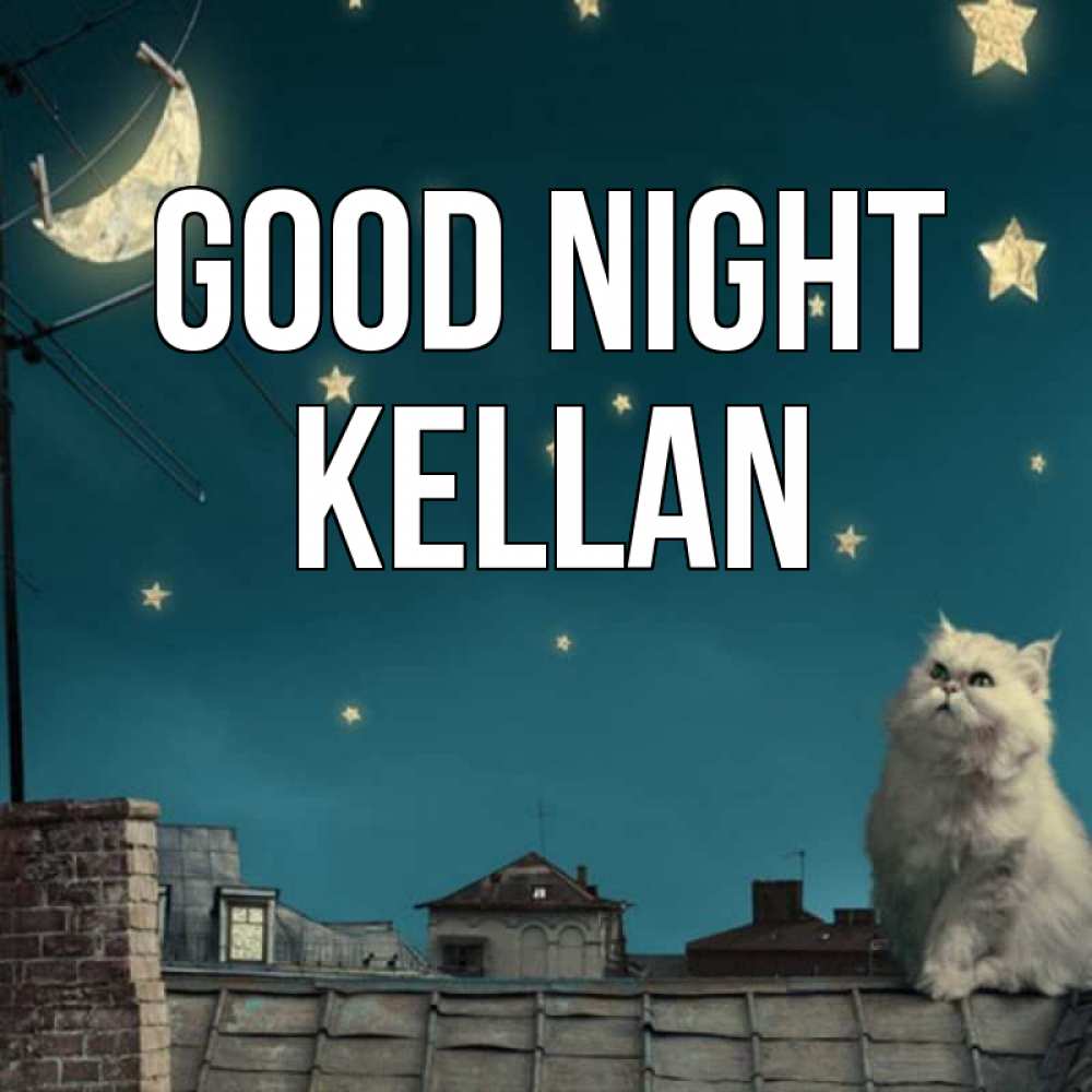 Greetings card с именем, Kellan Good night белый кот сидит на крыше Greetings with text for free download 