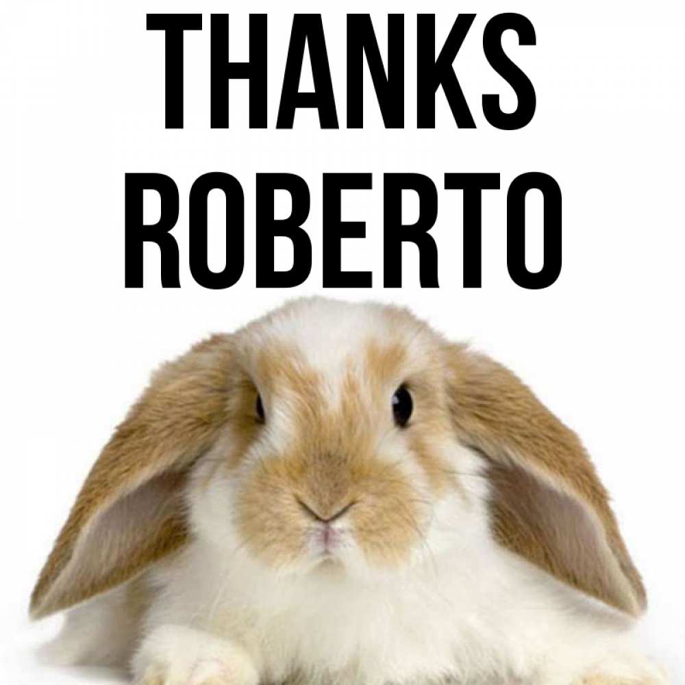 Greetings card с именем, Roberto Thanks коричнево белый заяц Greetings with text for free download 