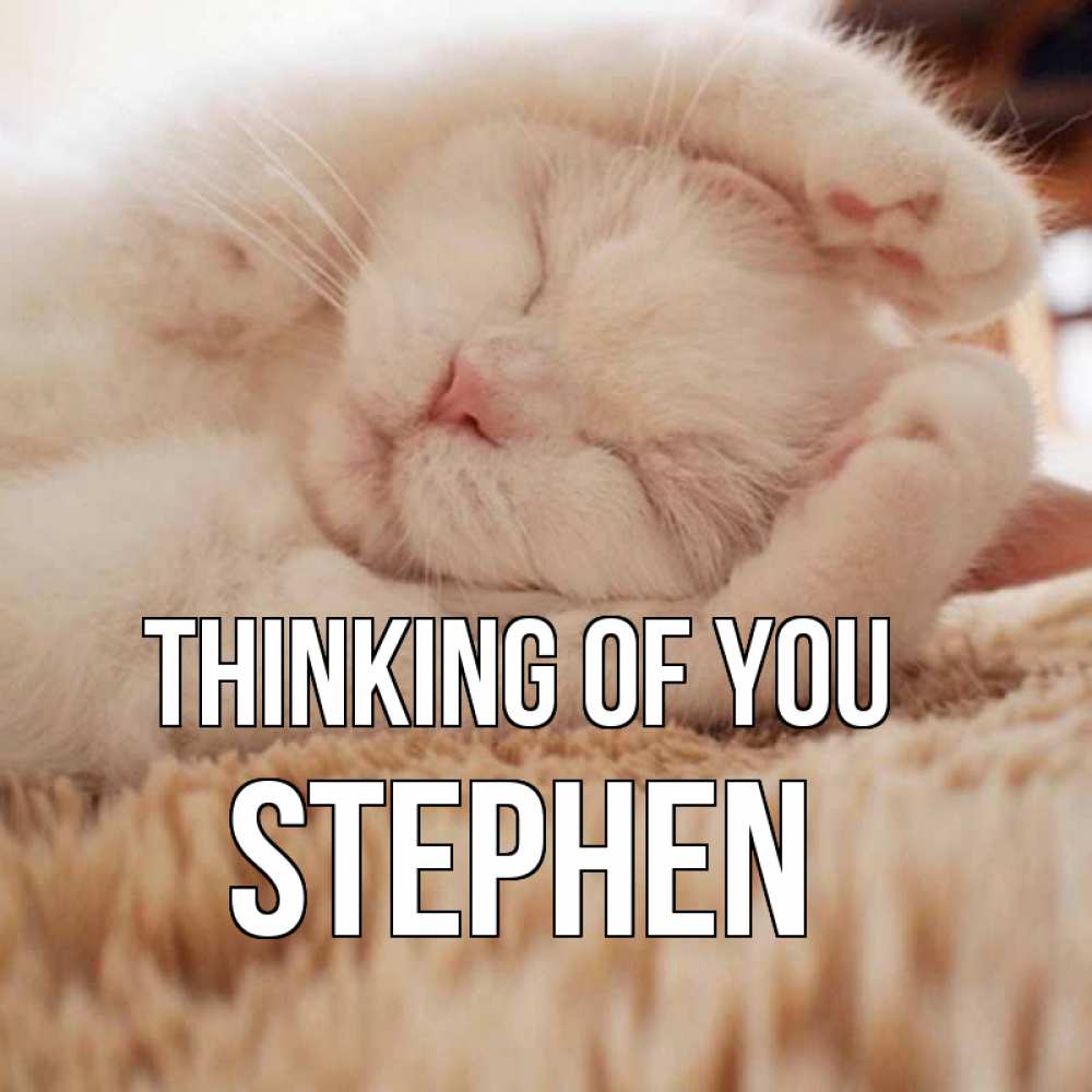 Greetings card с именем, Stephen Thinking of you для любимой девушки милота Greetings with text for free download 