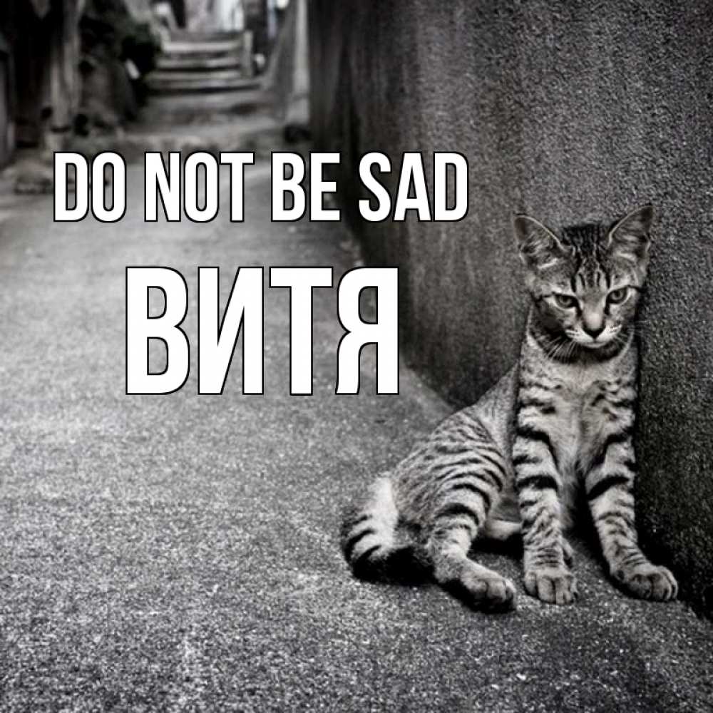 Greetings card с именем, Витя Do not be sad скучающий котик Greetings with text for free download 
