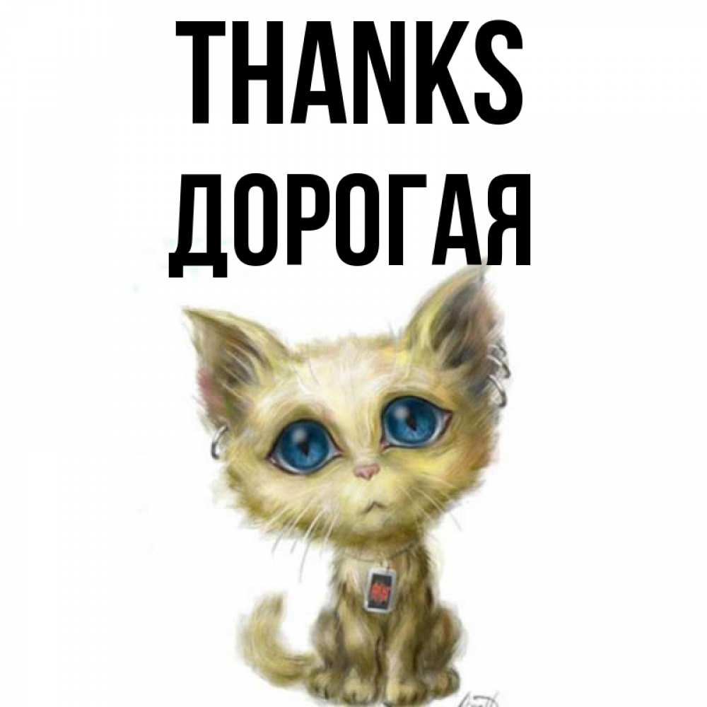 Greetings card с именем, Дорогая Thanks рисованный кот благодарит вас Greetings with text for free download 
