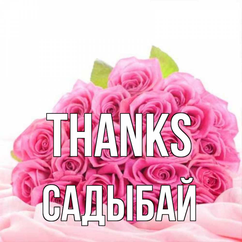 Greetings card с именем, САДЫБАЙ Thanks розовые розы с подписью Greetings with text for free download 