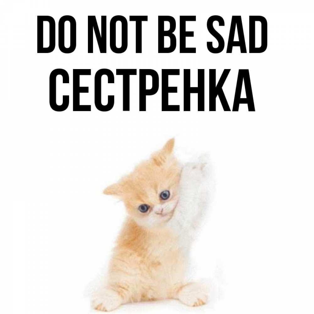 Greetings card с именем, Сестренка Do not be sad просящий кот Greetings with text for free download 
