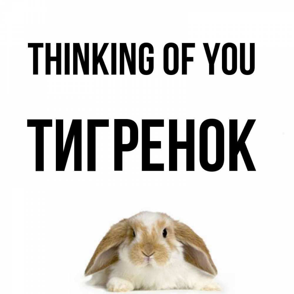 Greetings card с именем, Тигренок Thinking of you подписать своими руками онлайн Greetings with text for free download 