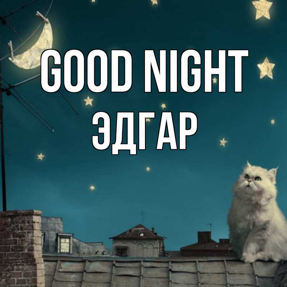 Greetings card с именем, Эдгар Good night белый кот сидит на крыше Greetings with text for free download 