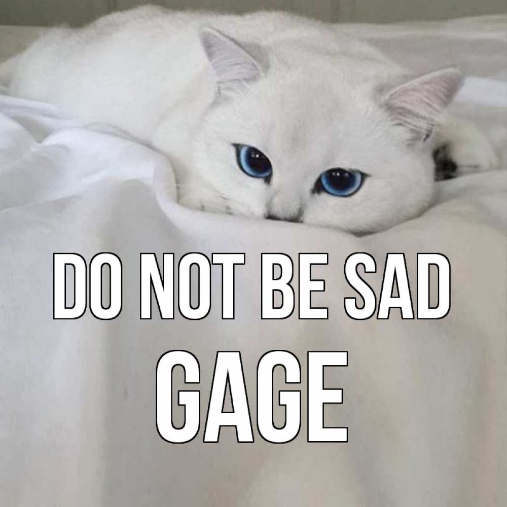 Greetings card с именем, Gage Do not be sad белый кот с голубыми глазами на белоснежной кровати Greetings with text for free download 