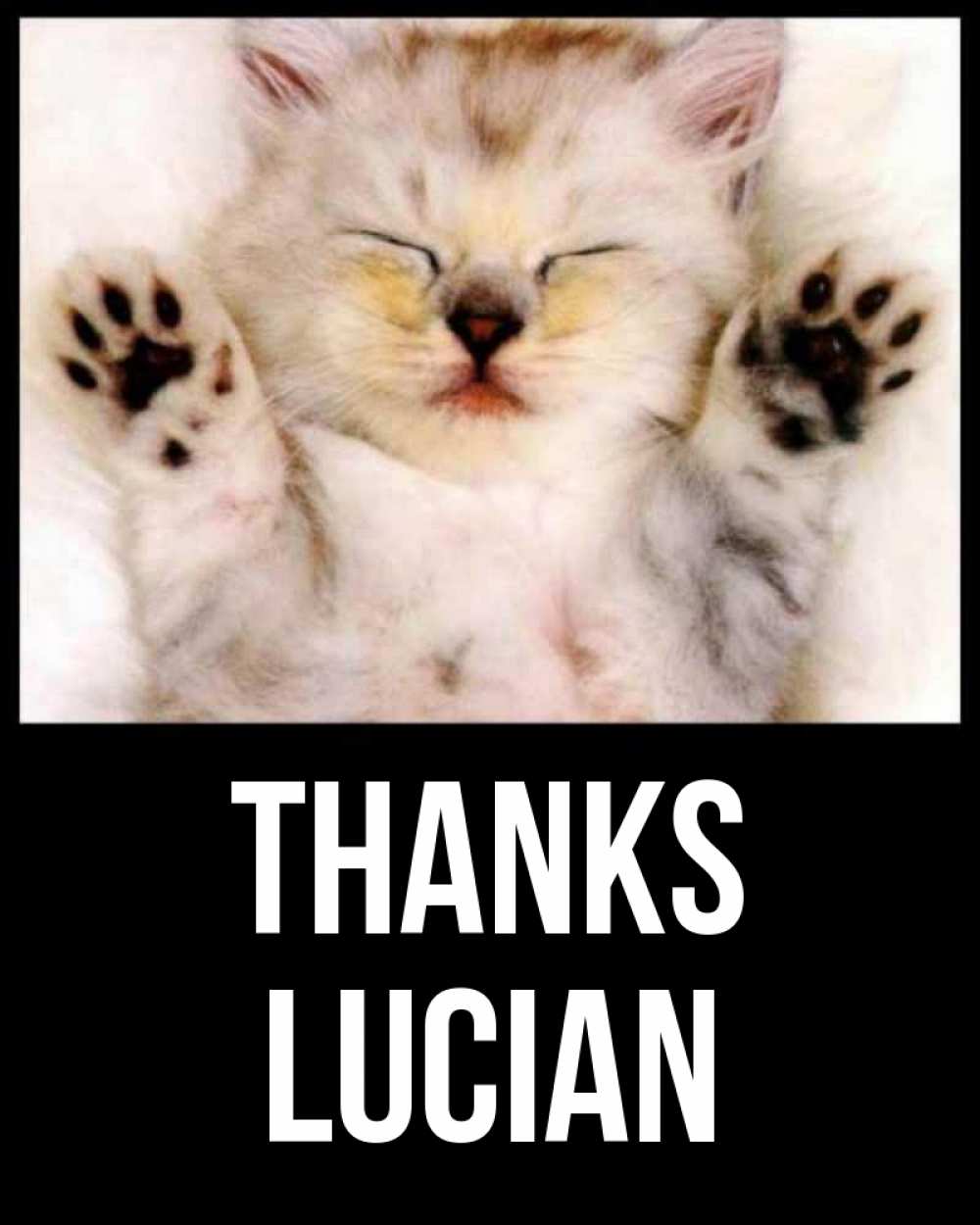 Greetings card с именем, Lucian Thanks маленький котенок Greetings with text for free download 