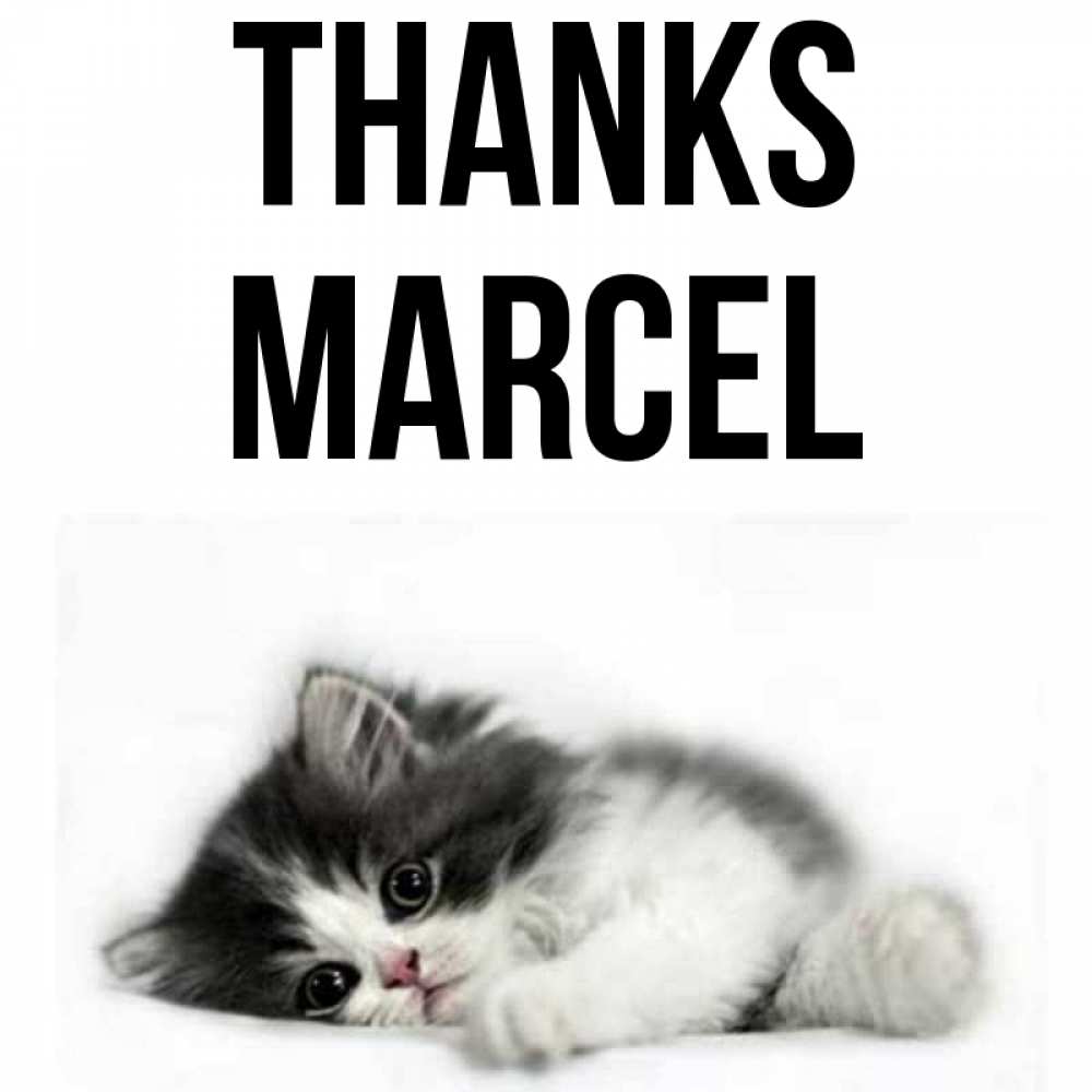 Greetings card с именем, Marcel Thanks черный и белый кот Greetings with text for free download 