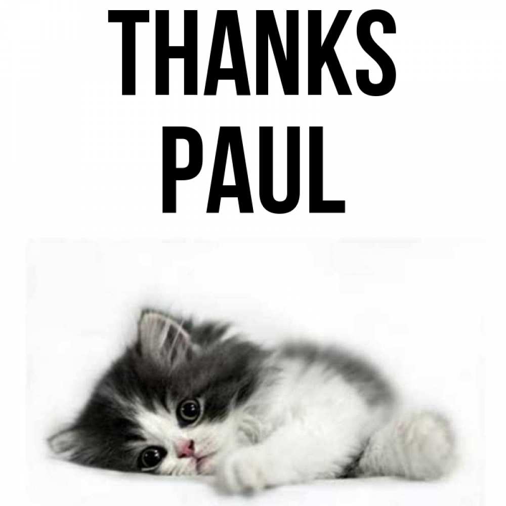 Greetings card с именем, Paul Thanks черный и белый кот Greetings with text for free download 