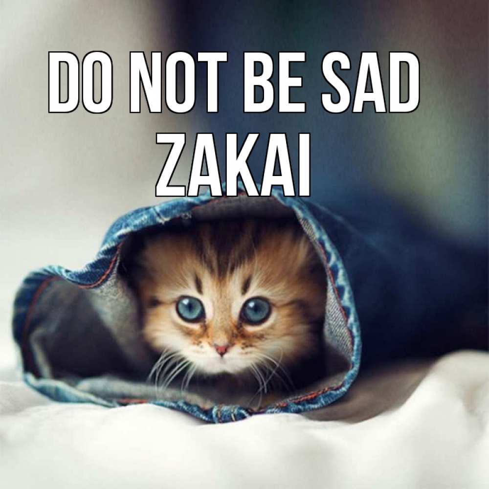 Greetings card с именем, Zakai Do not be sad рыжик котик Greetings with text for free download 