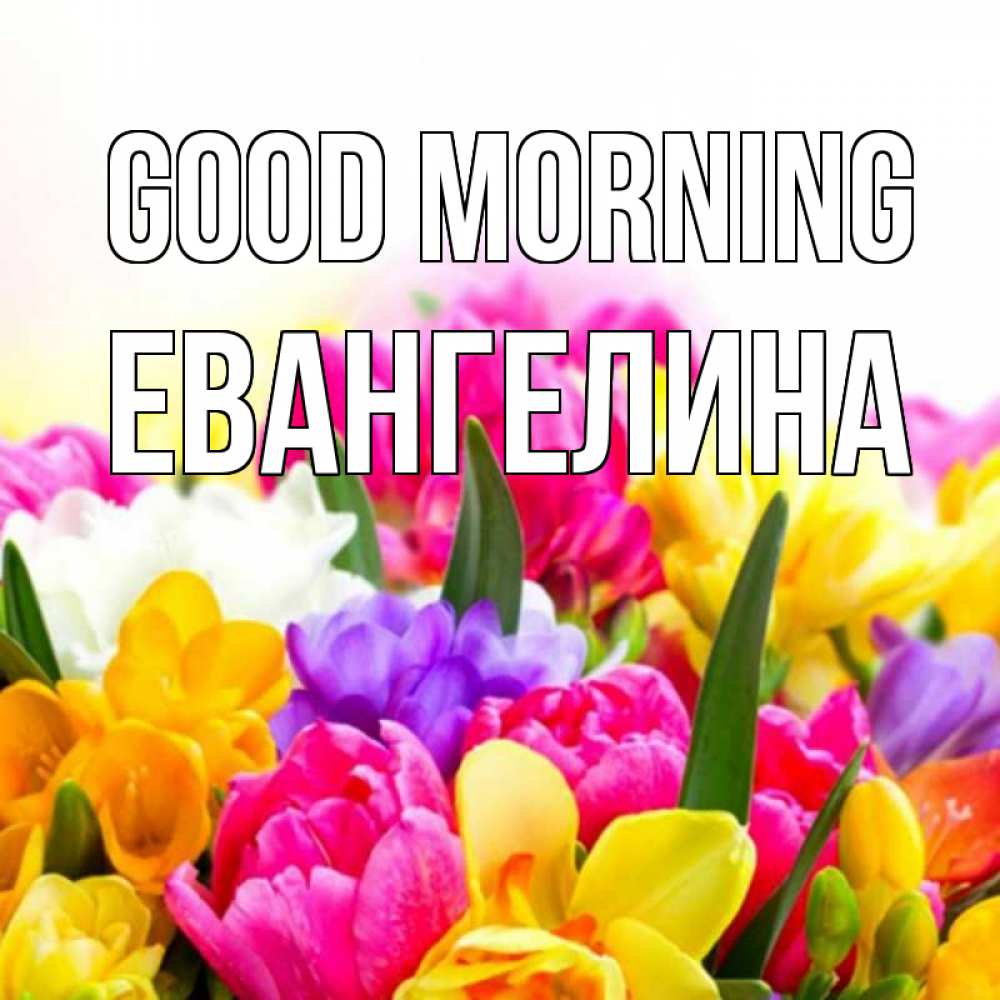 Greetings card с именем, Евангелина Good morning создать открытку со свое подписью Greetings with text for free download 