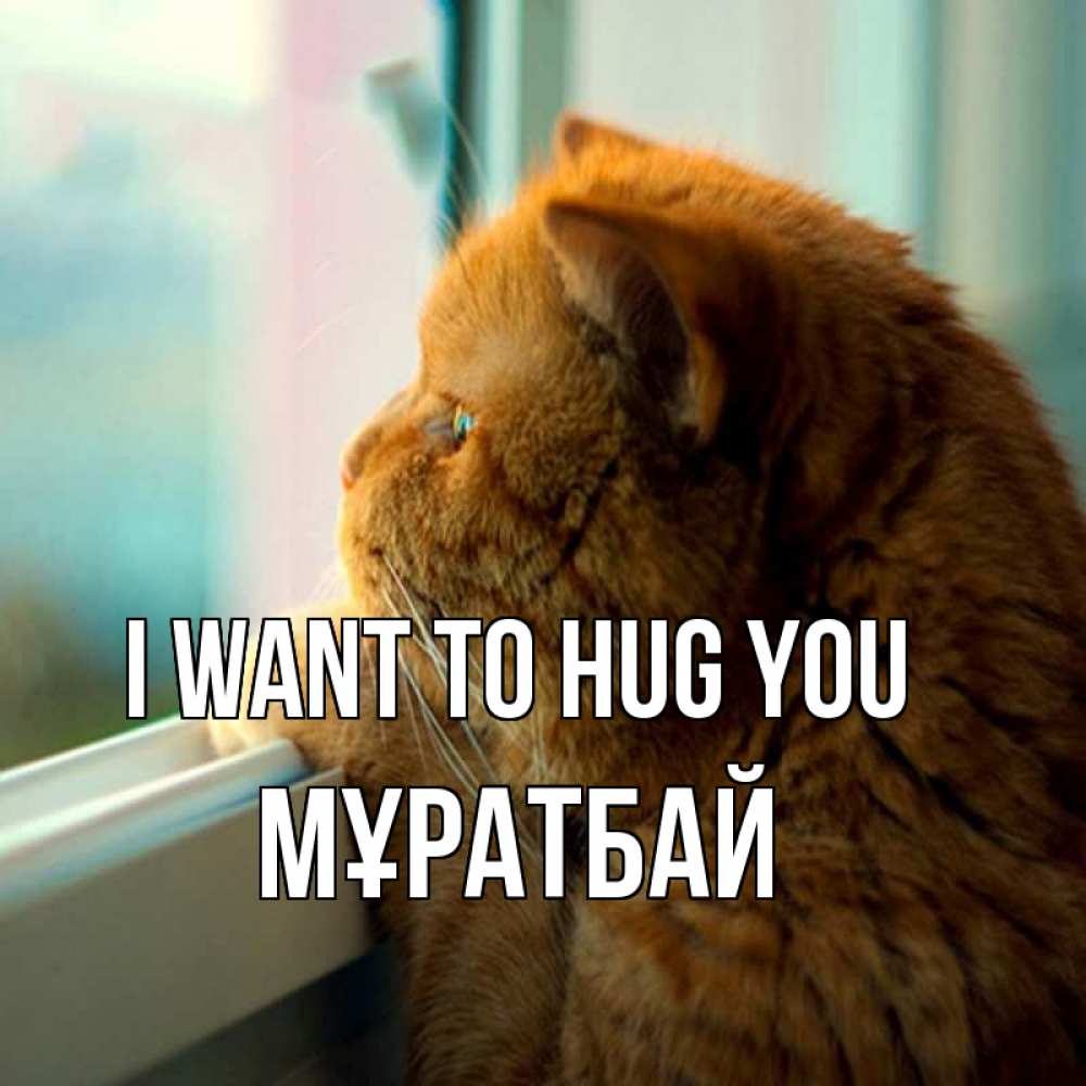Greetings card с именем, Мұратбай I want to hug you большой огромный рыжий котяра Greetings with text for free download 